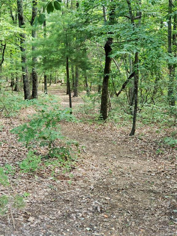 0 Sleepy Hollow Road - Photo 1