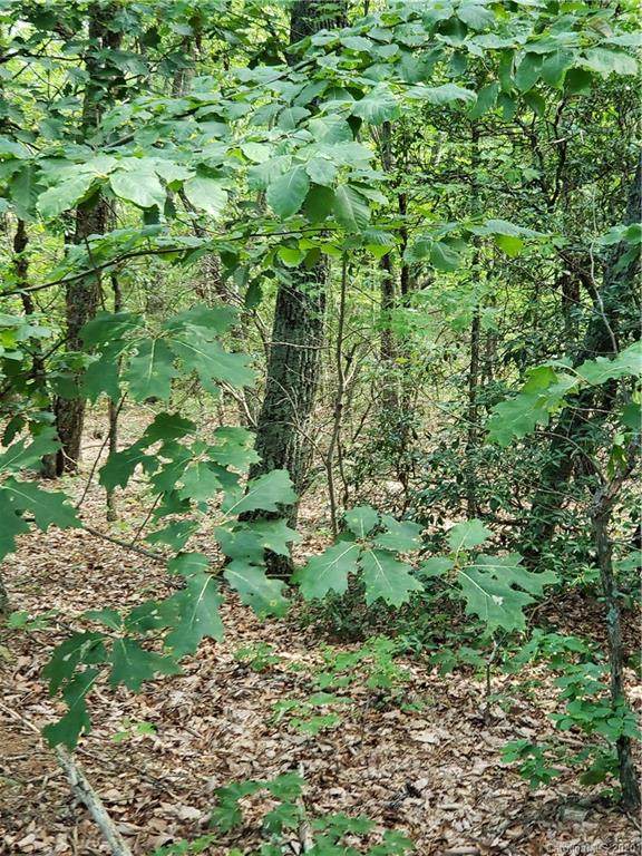 0 Sleepy Hollow Road - Photo 1