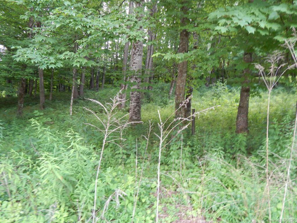 00 Saunook Road - Photo 1