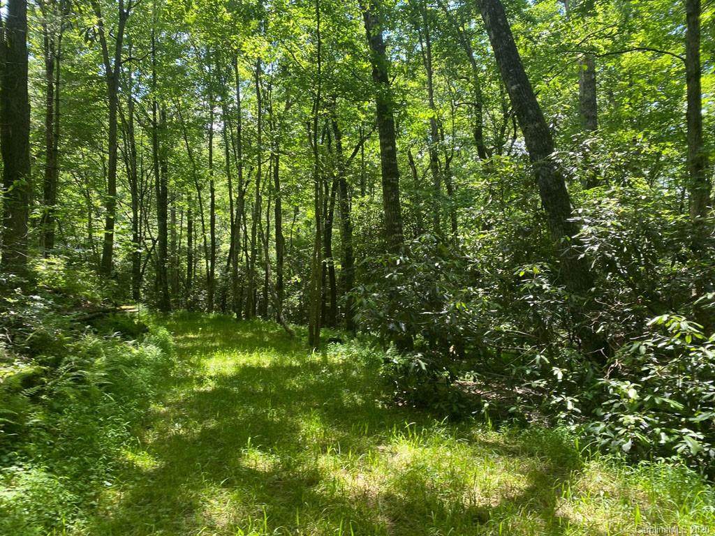 TBD Cul-De-Sac Drive - Photo 1