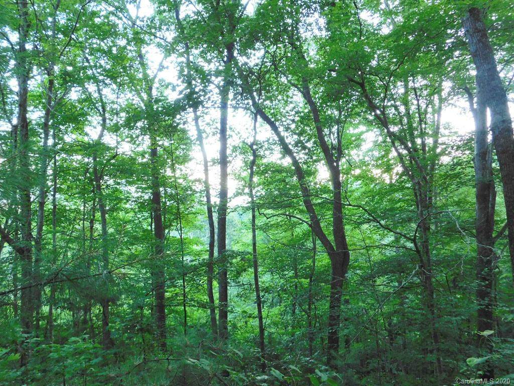 00 Edna Trace - Photo 1