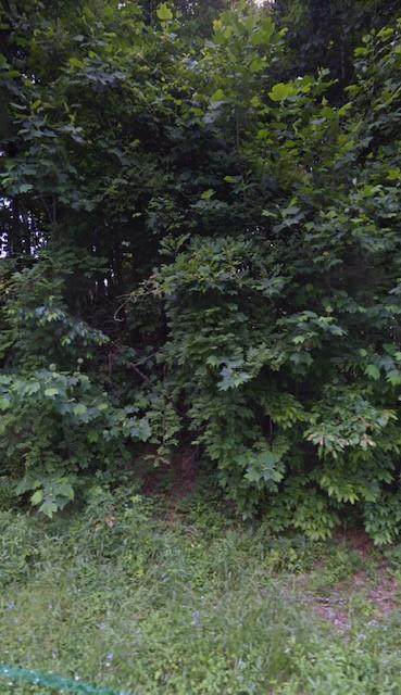 3871 Landmark Drive - Photo 1