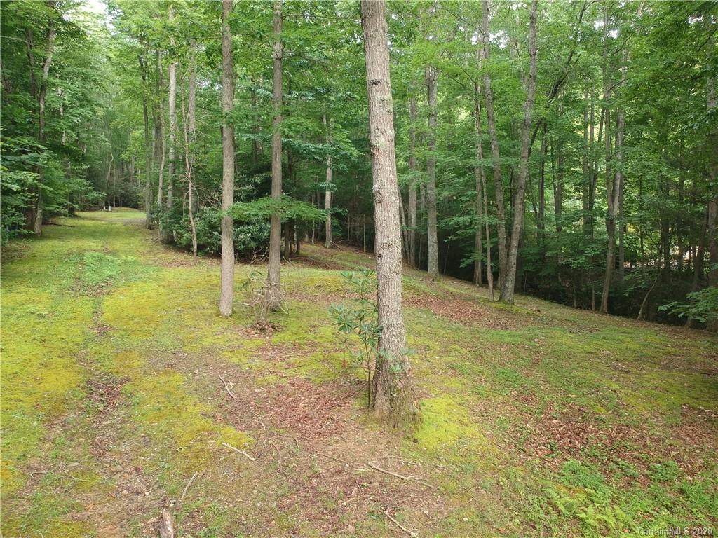 TBA Celo Cove Drive - Photo 1