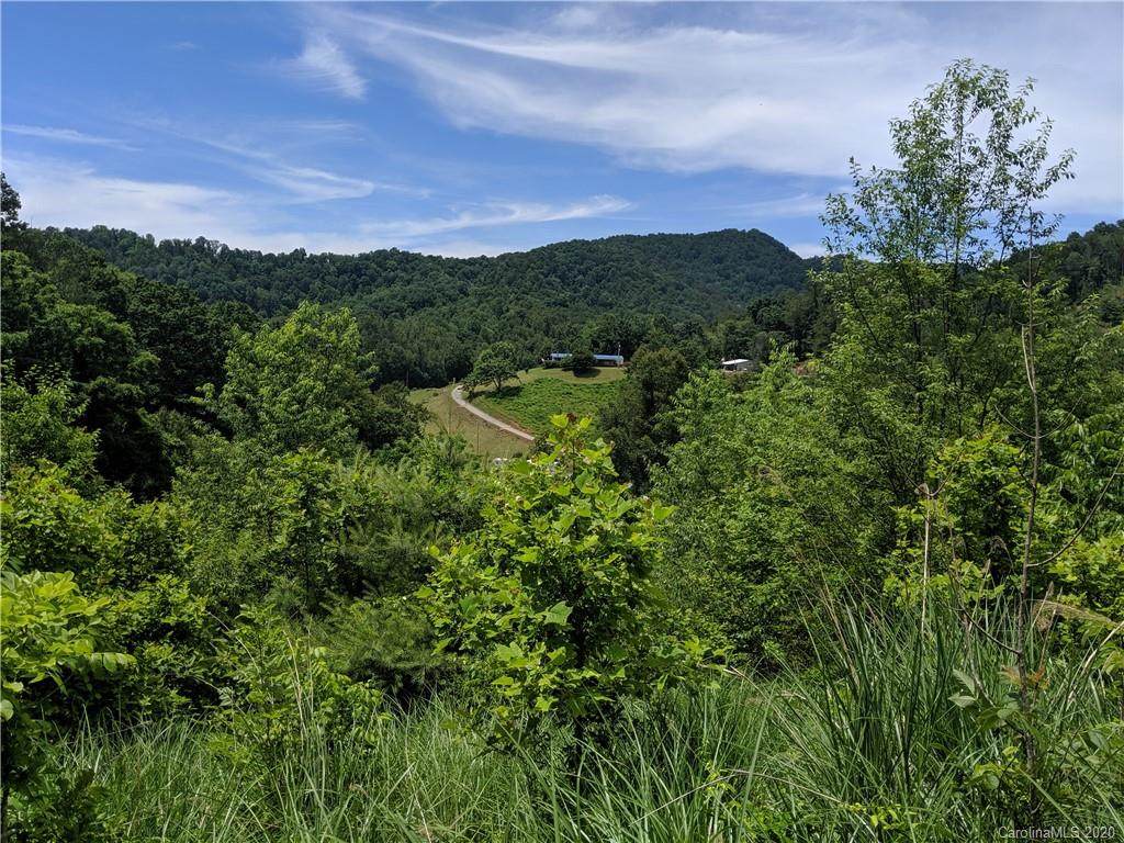 000 Bee Tree Road - Photo 1