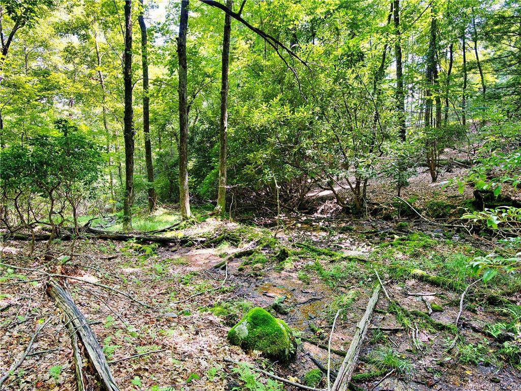 216 Forge Crest Drive - Photo 1