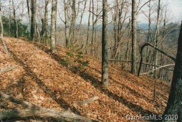 9999 Sand Branch Road - Photo 1