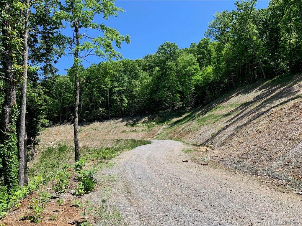 10.19 Acres Lytle Cove Road - Photo 1