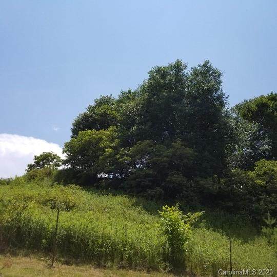 TBD Hawk Ridge Road - Photo 1