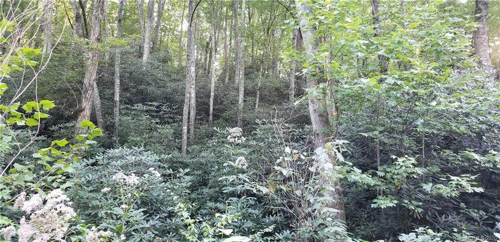 77 Misty Valley Parkway - Photo 1