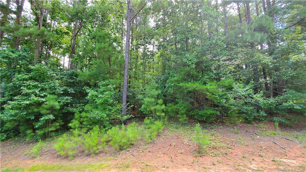 6888 Goose Point Drive - Photo 1