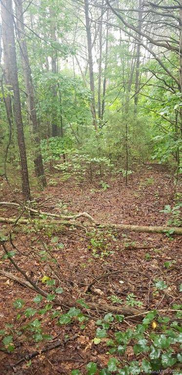 00 Fern Hill Road - Photo 1