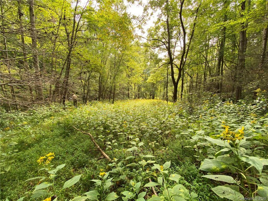 TBD Bluff Mountain Road - Photo 1