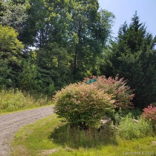 TBD Hawk Ridge Road - Photo 1