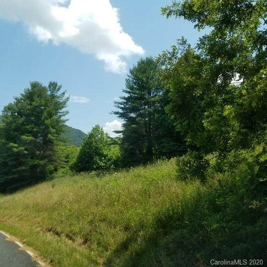 TBD Hawk Ridge Road - Photo 1