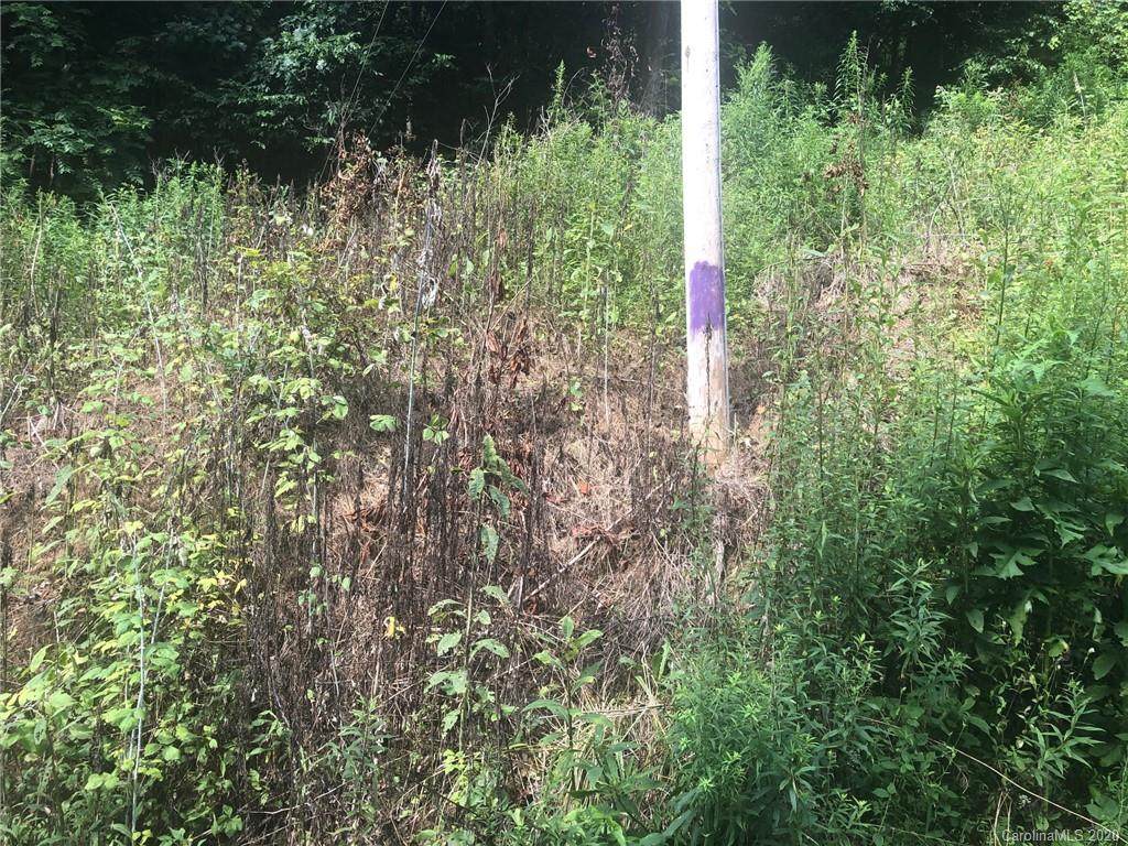 99999 Coxes Creek Road - Photo 1