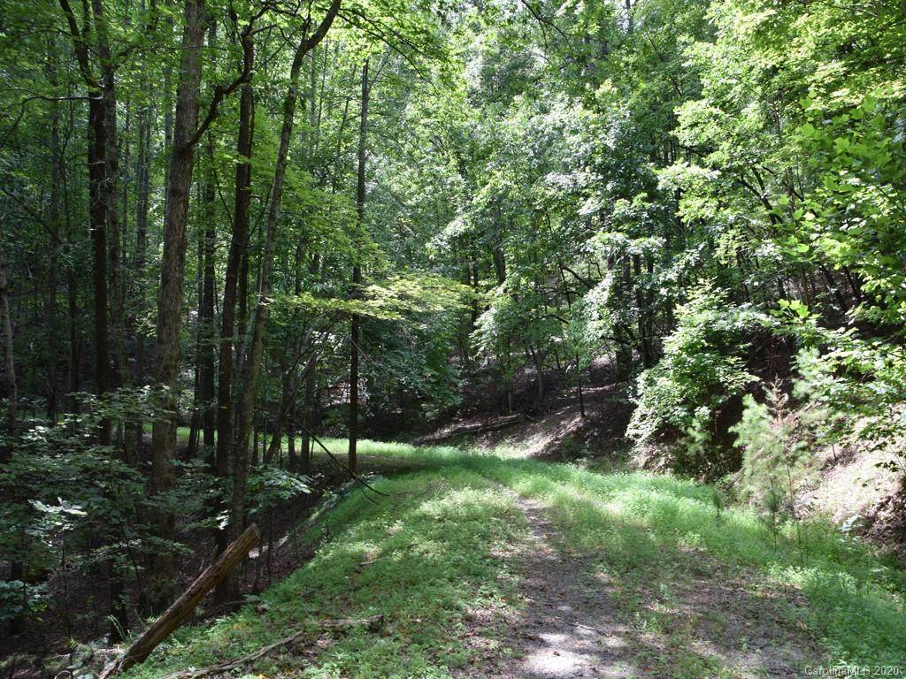 LOT 195 Gooses Way - Photo 1
