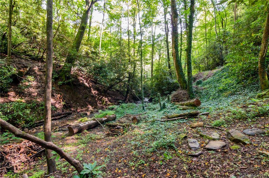 TBD Ballard Creek Road - Photo 1