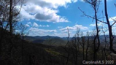 97 Sassafras Valley Road - Photo 1
