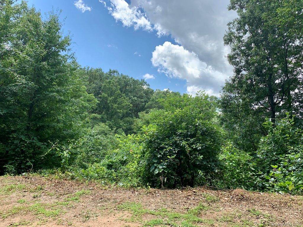Lot 1 Johnson Farm Road - Photo 1