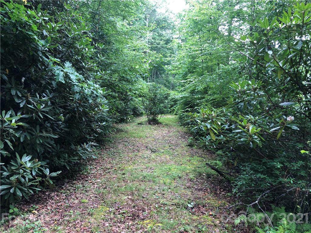 711 Plott Balsam Road - Photo 1