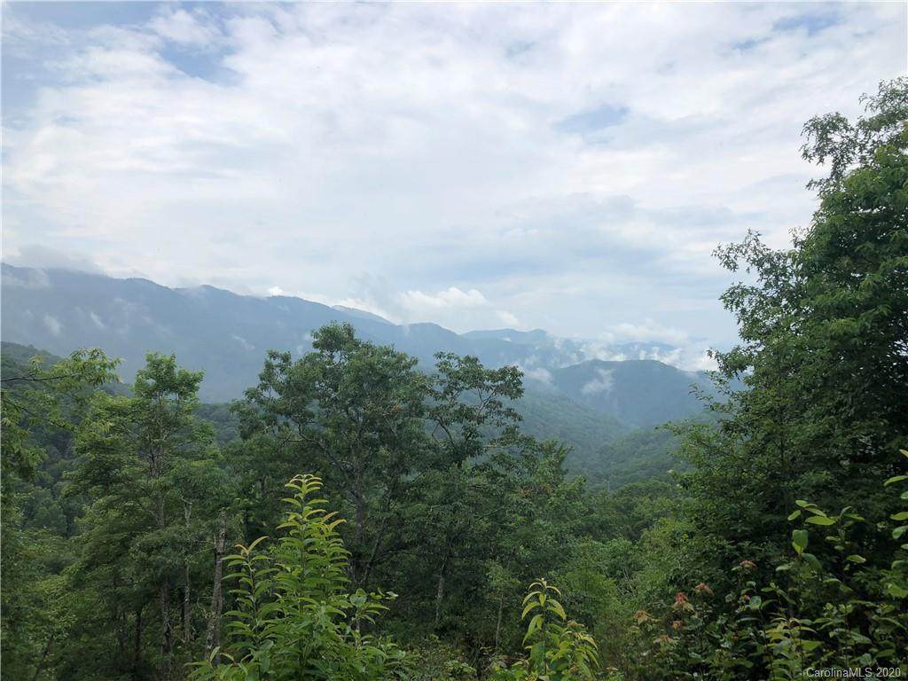 000 Picnic Gap Road - Photo 1