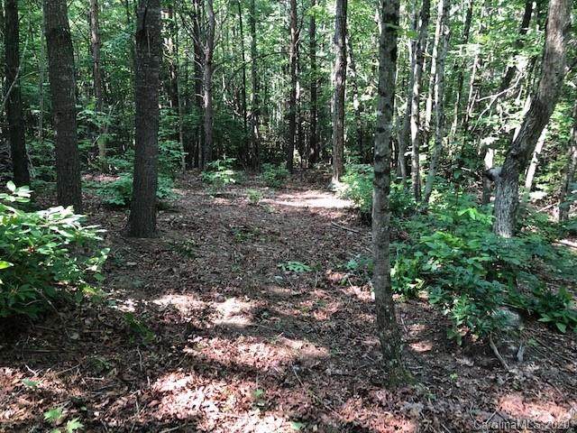 Lot 41 Poplar Bluff Drive - Photo 1