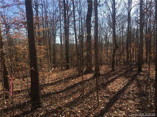 000 Sulphur Branch Road - Photo 1