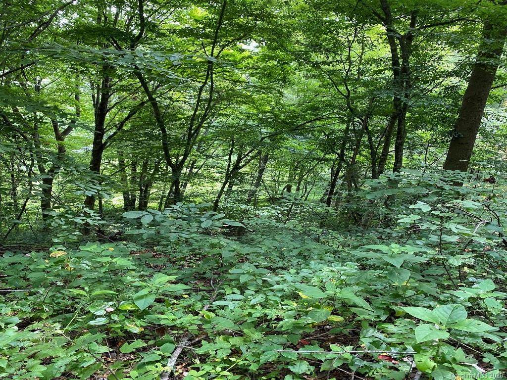 00 Jass Cove Road - Photo 1