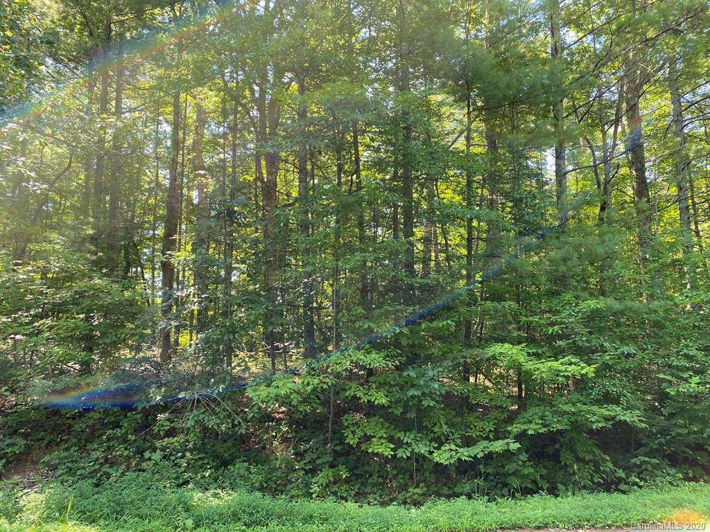 99999 Mountain Haven Drive - Photo 1