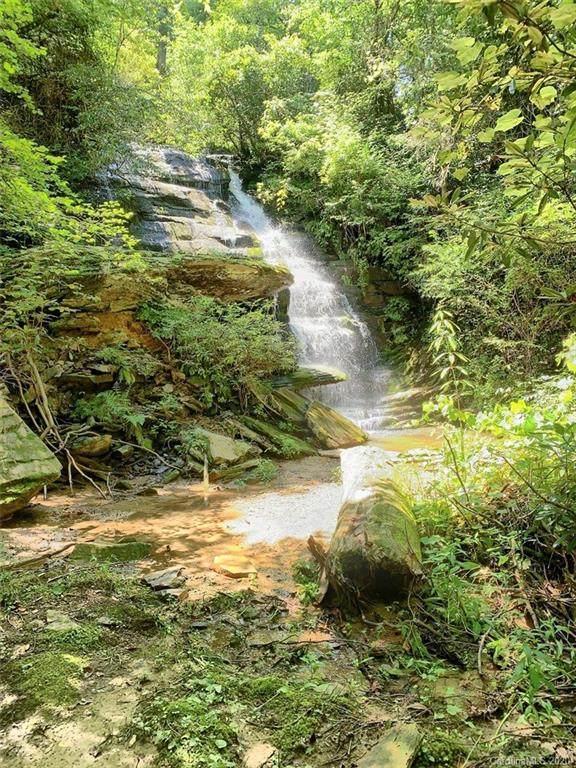 00 Bird Creek Estates Road - Photo 1