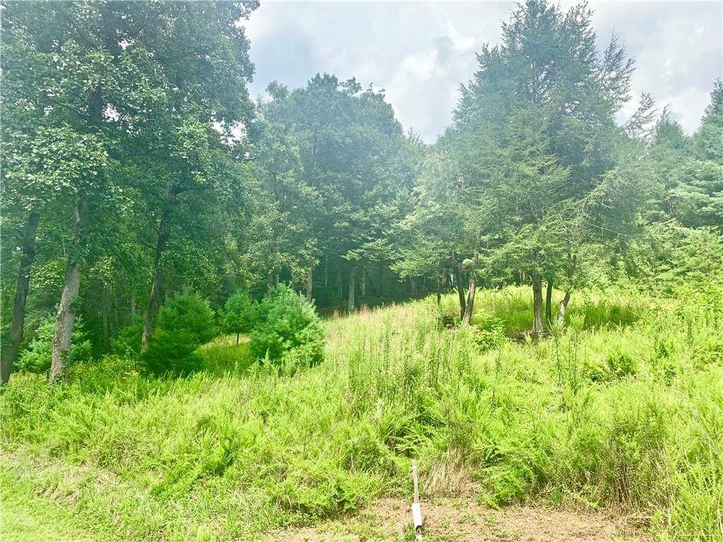 1186 Red Cedar Way - Photo 1