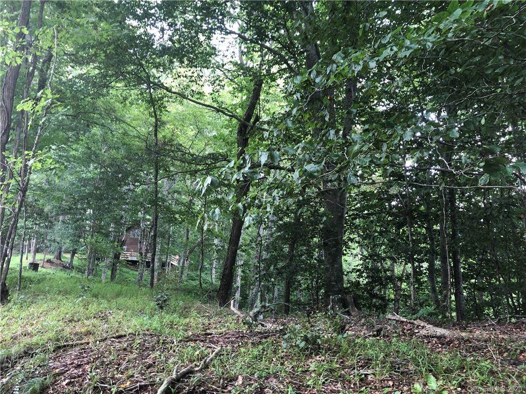 00 Old Log Road - Photo 1