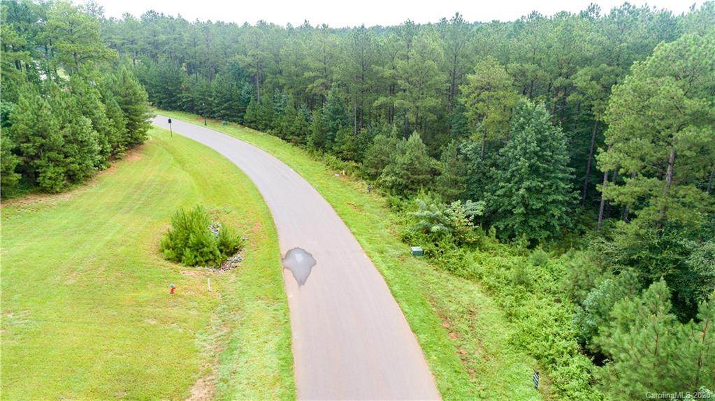6113 Chimney Bluff Road - Photo 1
