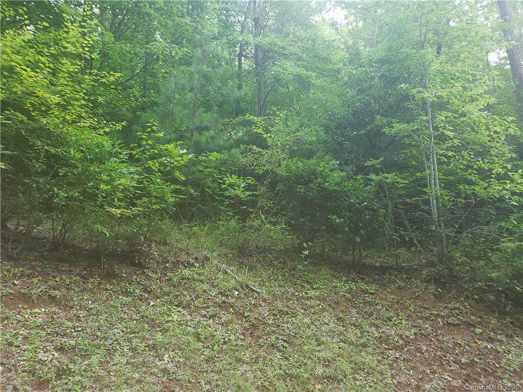 Lot 6 Happy Nest Road - Photo 1