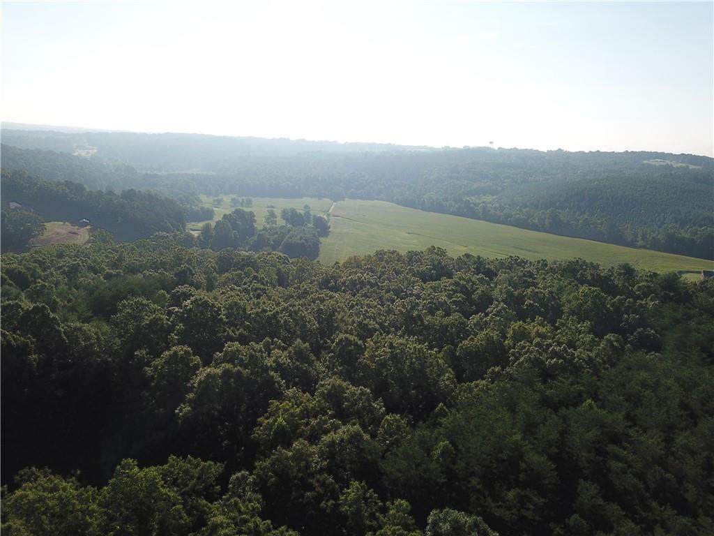2621 Old Shelby Road - Photo 1