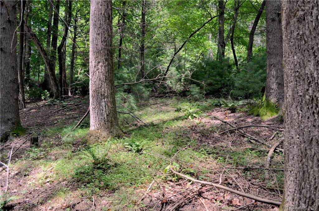 Lot #12A Lurewoods Manor Drive - Photo 1