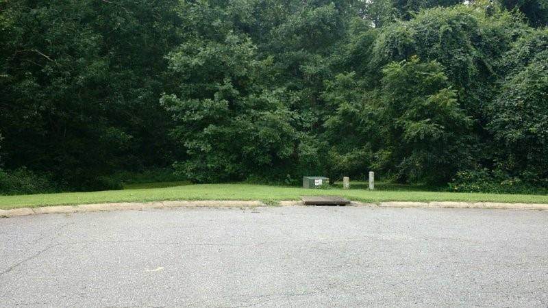 Lot 10 & 11 Shillington Lane - Photo 1