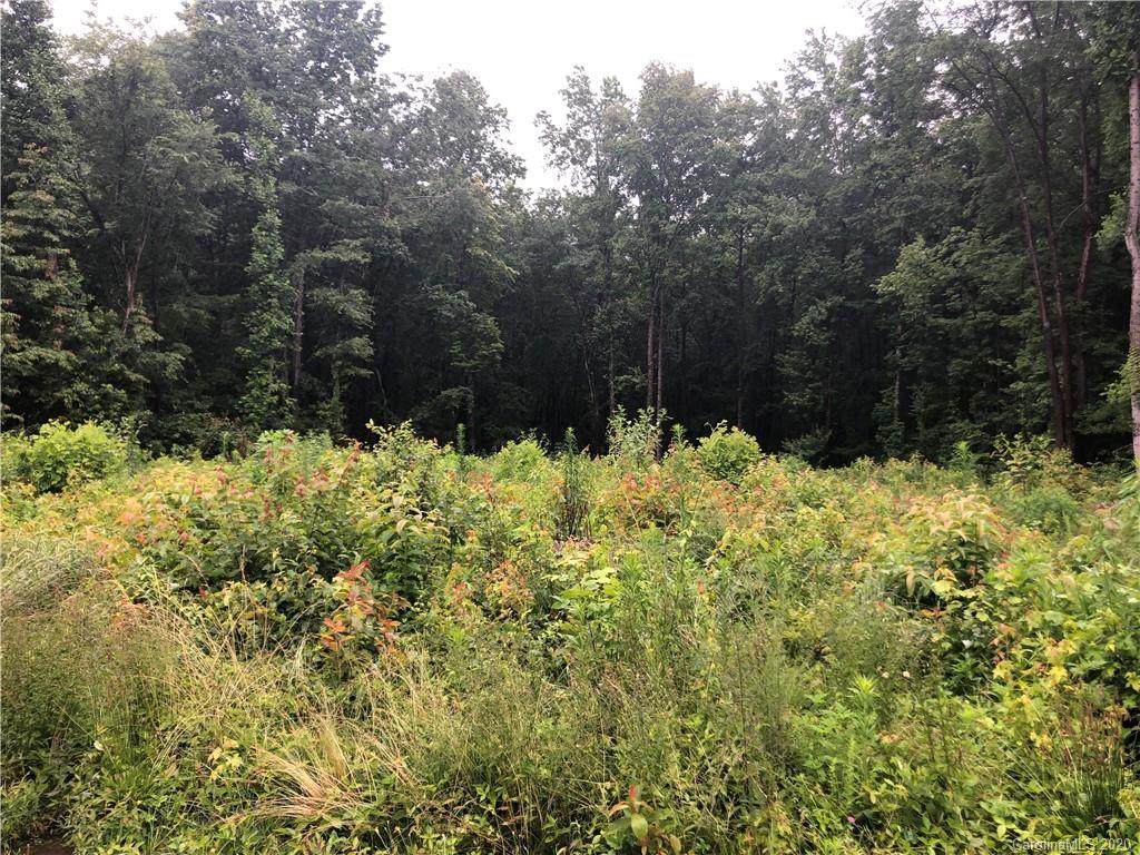 238 Carlyle Road - Photo 1