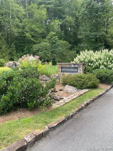TBD Mountain Brook Trail - Photo 1