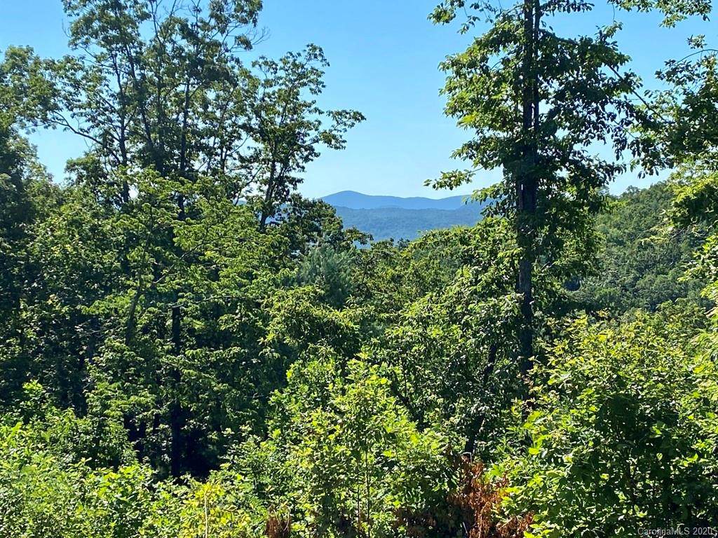 0000 Mt Olivet Road - Photo 1