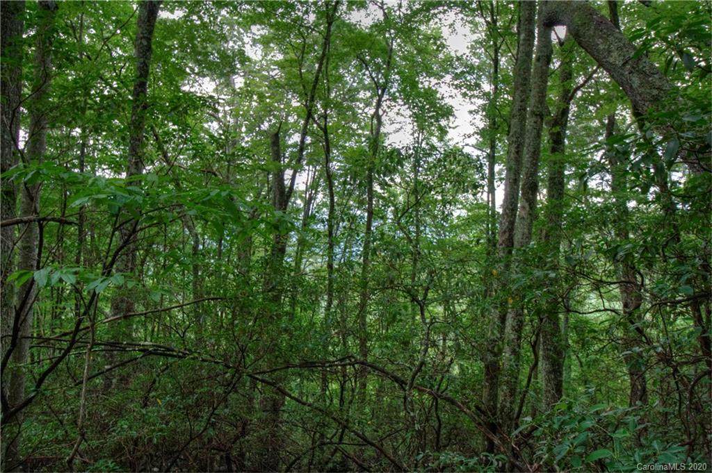 00 Connies Cove - Photo 1
