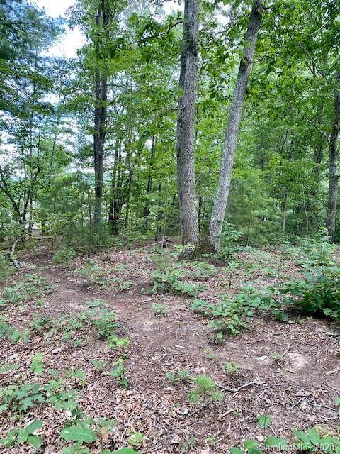 21 Mica Mine Ridge - Photo 1