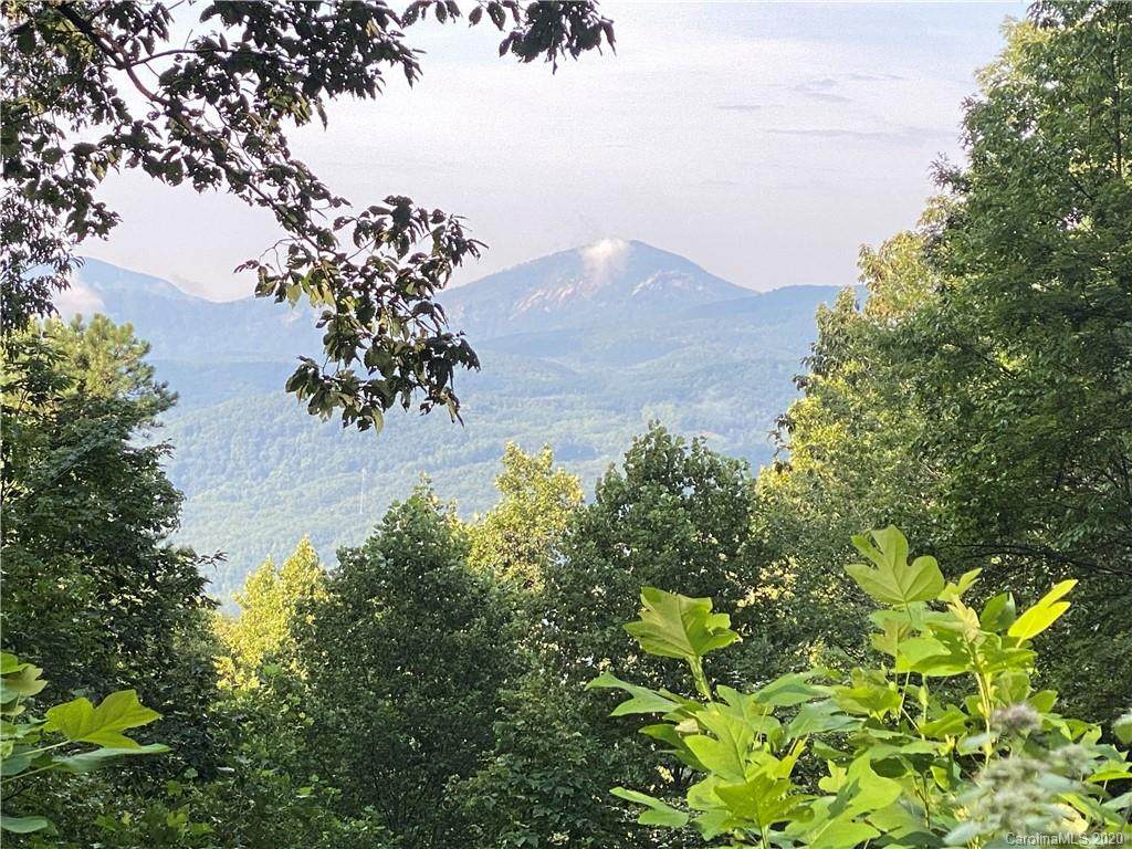 956 Nicey Gap Road - Photo 1