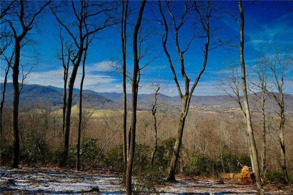 299 Secluded Hills Lane - Photo 1
