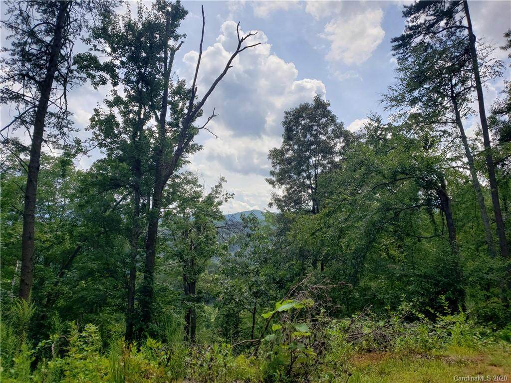 75 Lemon Creek Drive - Photo 1