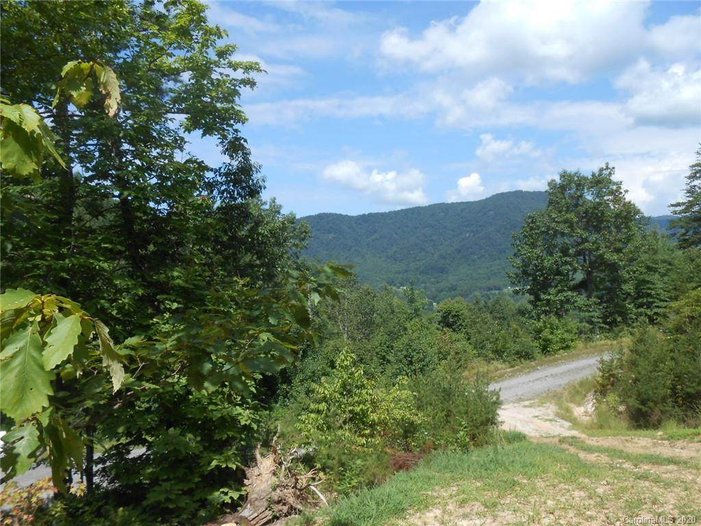 Lots 63 & 64 Baby Fox Drive - Photo 1
