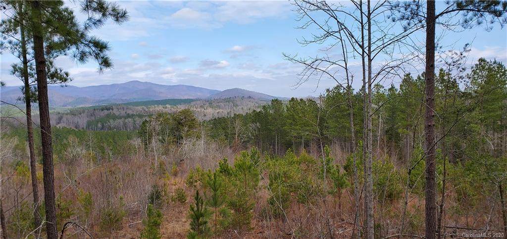 1279 Moriah School Road - Photo 1