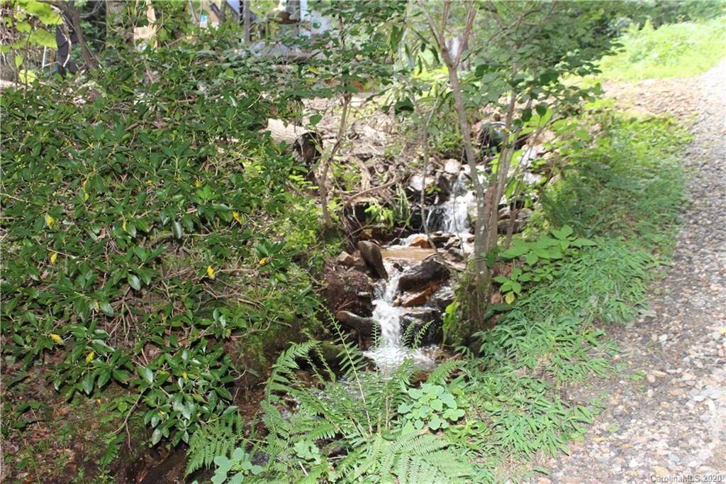 000 Riddle Branch Road - Photo 1