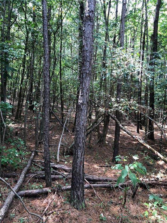 00 Hwy 742 Road - Photo 1