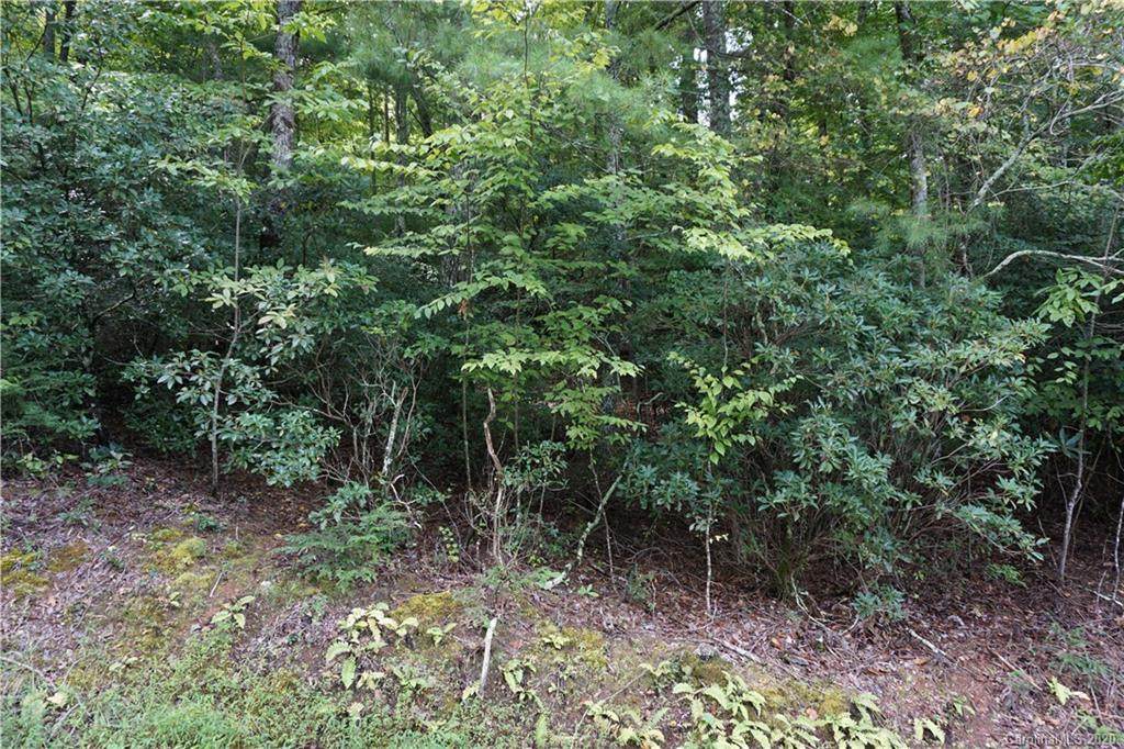 879 Harborside Drive - Photo 1